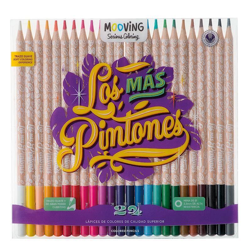 COLORING - LAPICES DE COLORES X 24